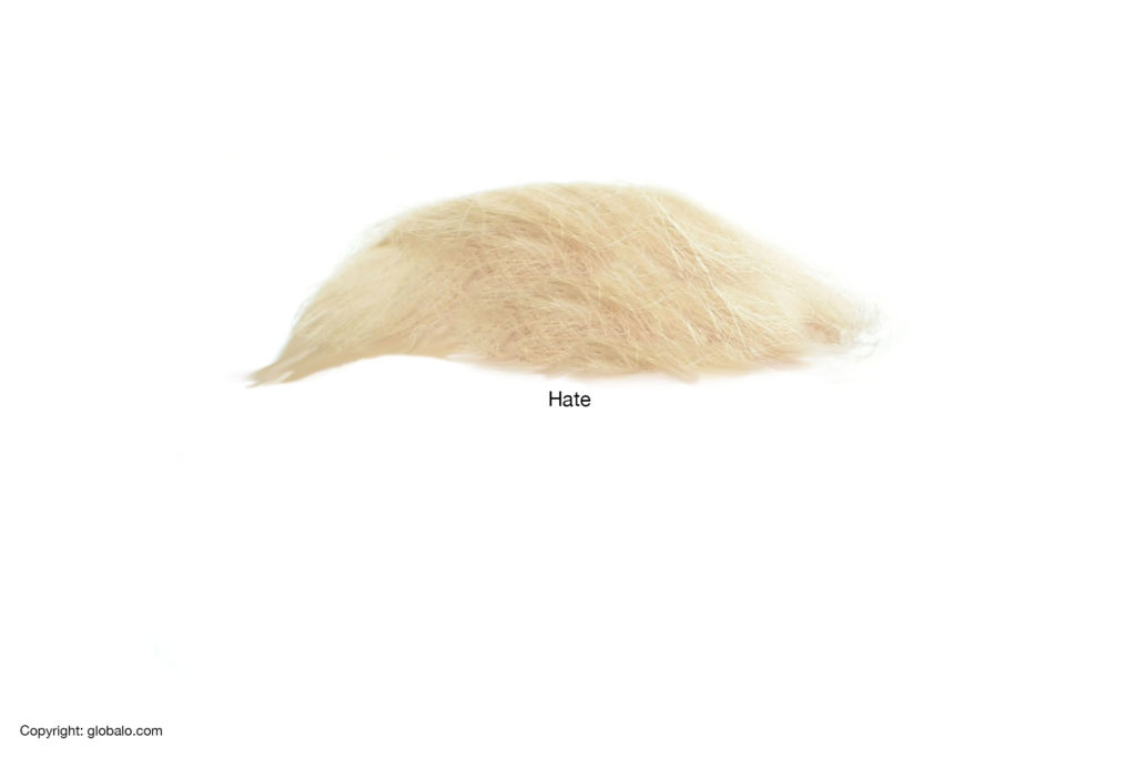 trump-hair