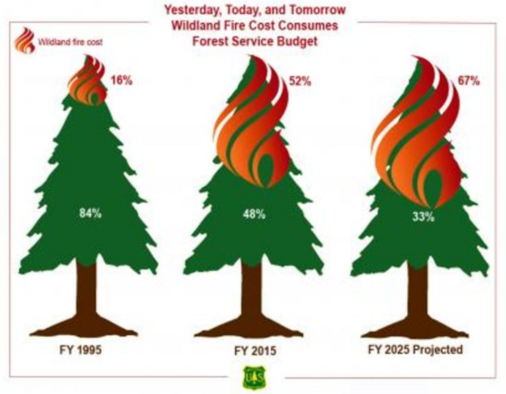 forest fire fema